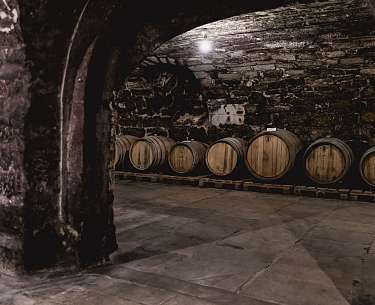Weingut Weingut