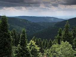 $PageTeaserImageTitle Thueringer Wald