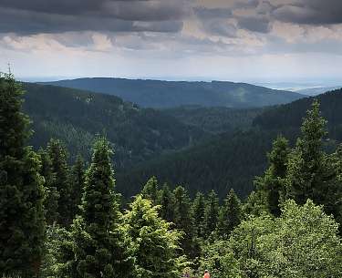 Thüringer Wald Thüringer Wald
