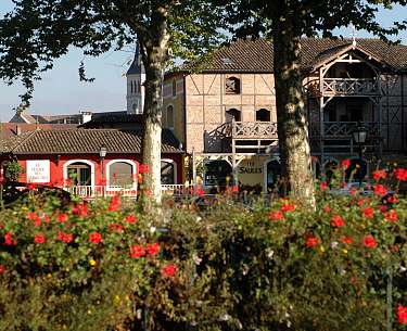 Les Saules Parc & SPA Les Saules Parc & SPA