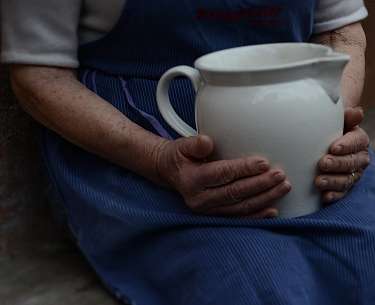 The milk jug The milk jug