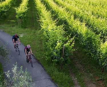 Radtouren durch die Proseccostraße Radtouren durch die Proseccostraße