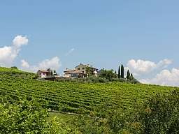 Schweizerhof Flims Waldhaus Ski   Schweizerhof Flims Waldhaus Ski