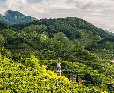 Hügel des Proseccogebietes Hügel des Proseccogebietes