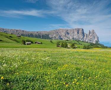 Schlern Schlern