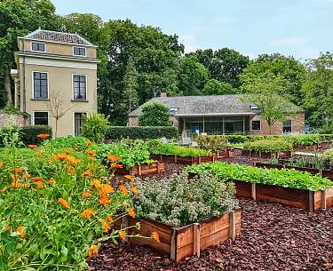 Kräutergarten Kräutergarten