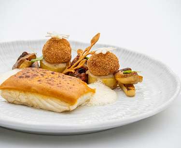 Culinary Culinary