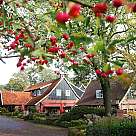 Romantik Hotel Het Ros van Twente
