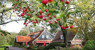 romantik hotel het ros van twente aussenansicht