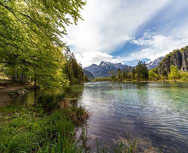 Almsee Almsee