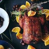 AdobeStock 396264702