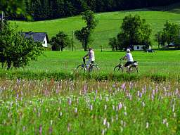 $PageTeaserImageTitle Radfahren Salzkammergut
