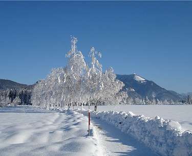 Winterwandern Salzburg Winterwandern Salzburg