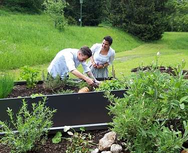 Kräuterbeet im Frühling Kräuterbeet im Frühling