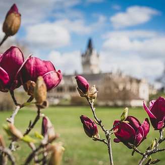 Schloss Grafenegg
