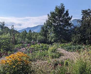 Gemüsegarten Berge Wiese Koch Gemüsegarten Berge Wiese Koch