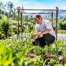 Das Schiff Kräutergarten