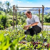 Das Schiff Kräutergarten