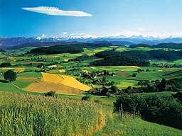 $PageTeaserImageTitle Baeren emmental landschaft