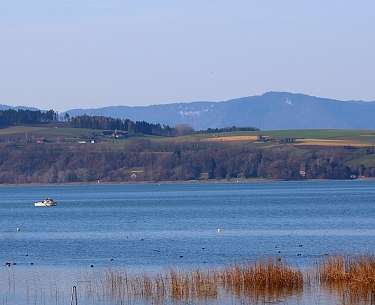 Murtensee