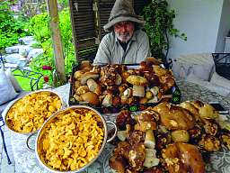 Pilz - Romantik Hotel Hornberg Pilz - Romantik Hotel Hornberg