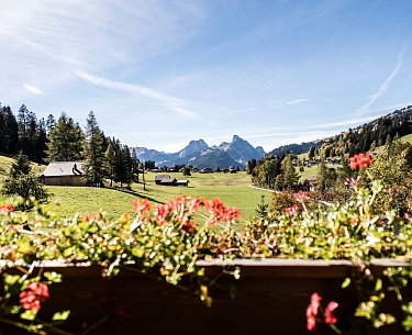 Ausblick Ausblick