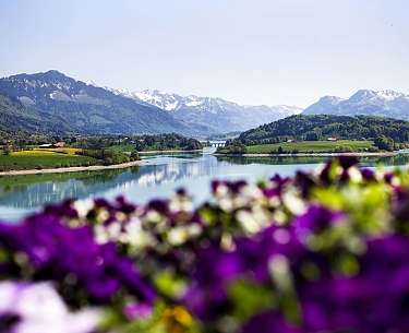 Lakeside landscape in summer Le Vignier Lakeside landscape in summer Le Vignier