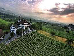 Schloss Weinstein Schloss Weinstein