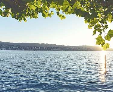 Sonne See 8 Sonne See 8