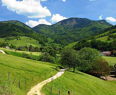Naturpark Südschwarzwald