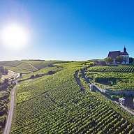 Ratsherr I Volkach Ratsherr I Volkach