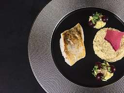 Zanderfilet mit Rahmsauerkraut, Trauben und Riesling Sauce  Zanderfilet mit Rahmsauerkraut, Trauben und Riesling Sauce