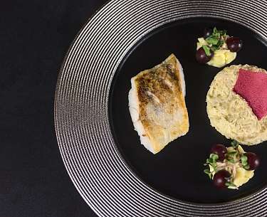 Zanderfilet mit Rahmsauerkraut, Trauben und Riesling Sauce Zanderfilet mit Rahmsauerkraut, Trauben und Riesling Sauce