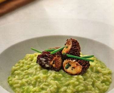 Bärlauchrisotto mit gefüllten Morcheln mit Zander aus dem Lago Maggiore