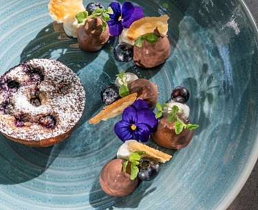 Blaubeer-Clafoutis mit zweierlei Creme und Honig-Hippen Blaubeer-Clafoutis mit zweierlei Creme und Honig-Hippen