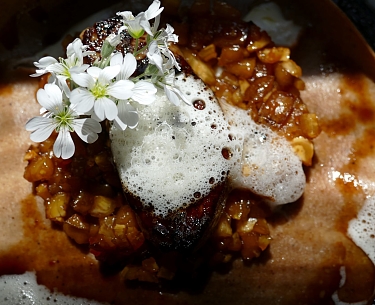 Semmelknödel mit Steinpilzragout  und gerösteten Baumnüssen