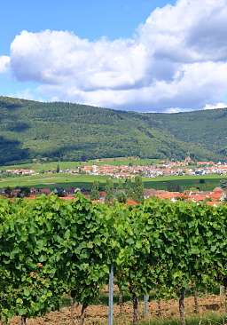 Deutsche Weinstraße