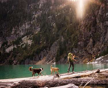 Spaziergang mit Hunden Spaziergang mit Hunden