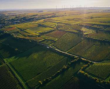 Juwel Weine Drohnenaufnahme