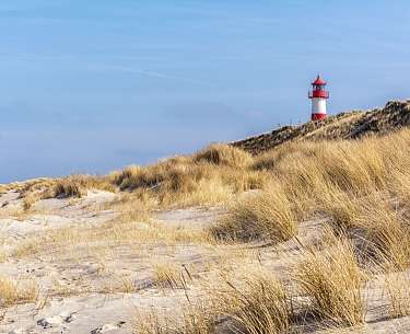Strand am Ellenbogen List Strand am Ellenbogen List