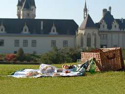 Picknick im Schlossgarten
