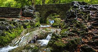 Wald und Bach auf der Schwäbischen Alb