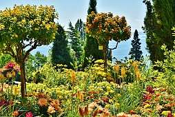 Insel Mainau Insel Mainau