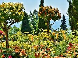 Insel Mainau Insel Mainau