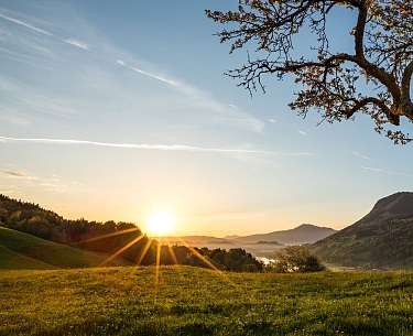 Grosser Alpsee Sonnenaufgang Weide 1 copyright Allgaeu GmbH Erika Spengler Grosser Alpsee Sonnenaufgang Weide 1 copyright Allgaeu GmbH Erika Spengler