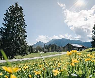 Radweg durch Unterjoch auf der Radrunde copyright Allgau GmbH Matthias Wendling Radweg durch Unterjoch auf der Radrunde copyright Allgau GmbH Matthias Wendling