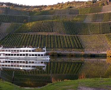 moselle 3763615 1280 Schifffahrt auf der Mosel entlang der Weinberge