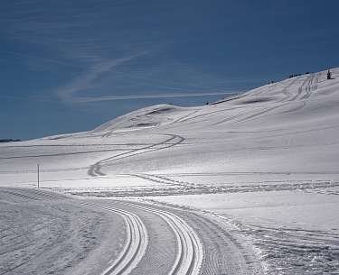 schnee winter langlauf schnee winter langlauf