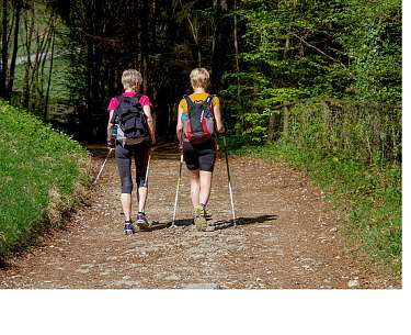 Nordic Walking Forest Nordic Walking Forest