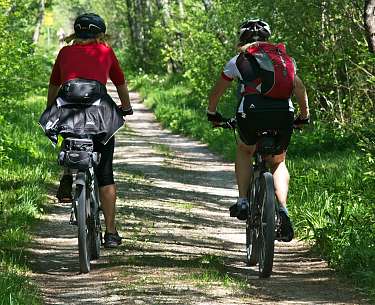 Radfahren Radfahrer Wald Radfahren Radfahrer Wald